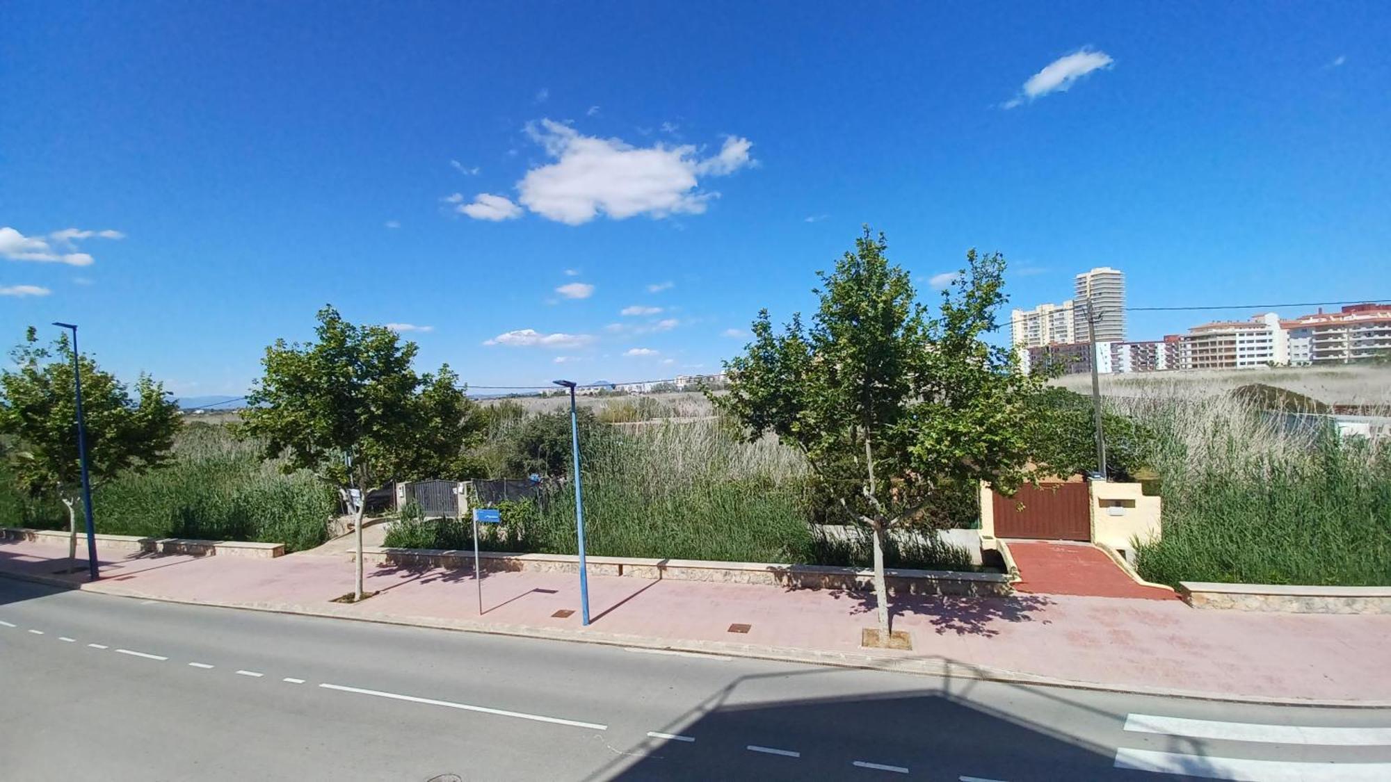 PeñíscolaAzahares Vista Parque Orangecosta公寓 外观 照片